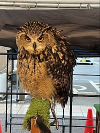 道の駅でのベル